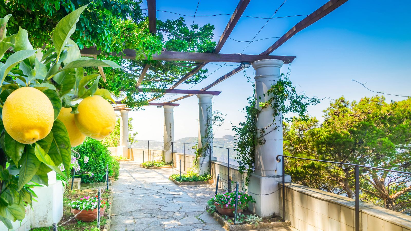 Il vero giallo di Capri? Profuma di limoni e mare
